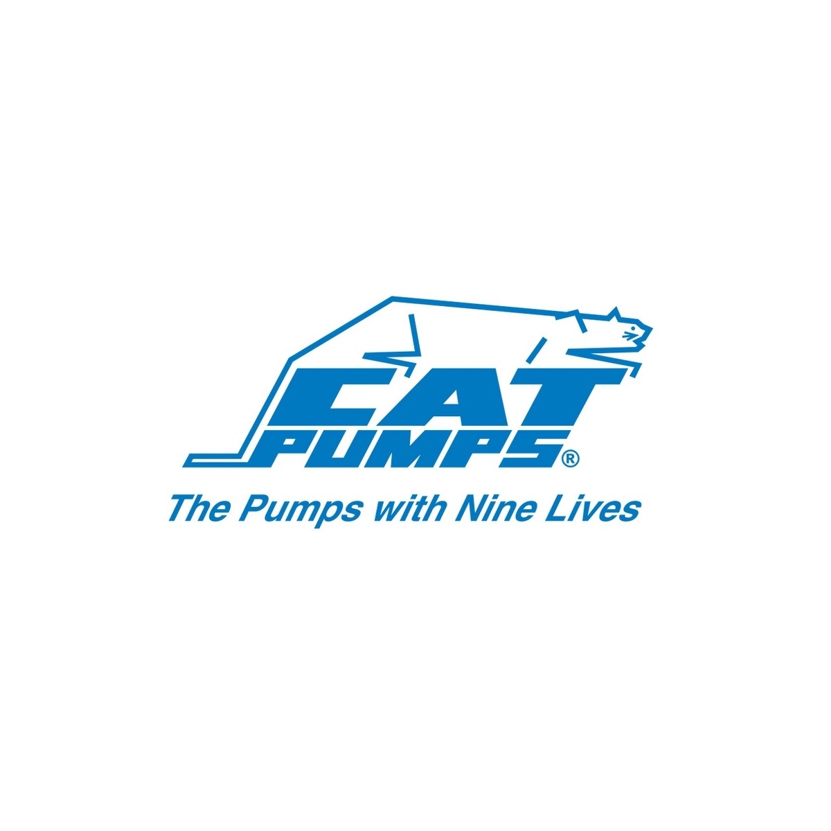 cat-pumps-logo-1009