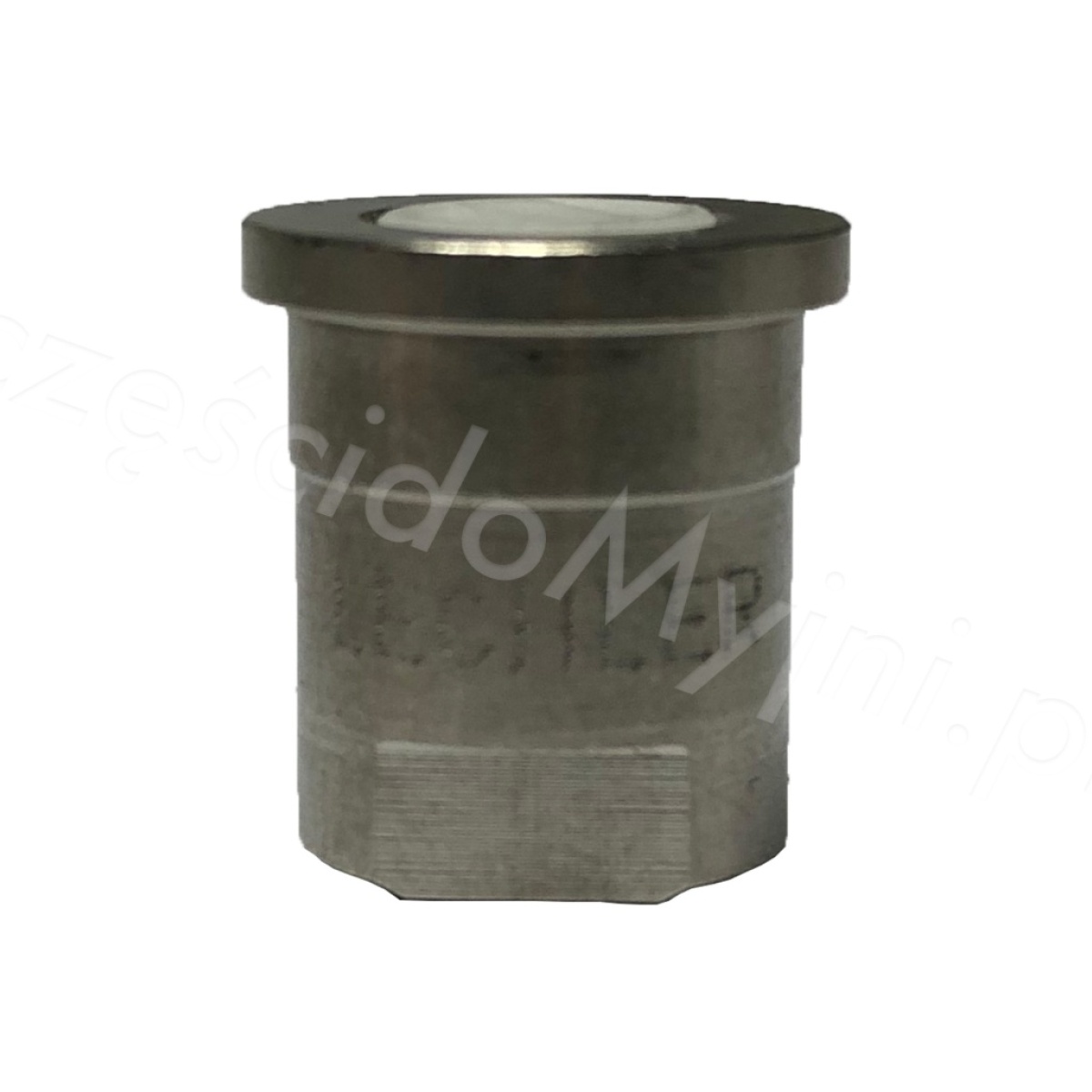dysza_pianowa_lechler_110_1