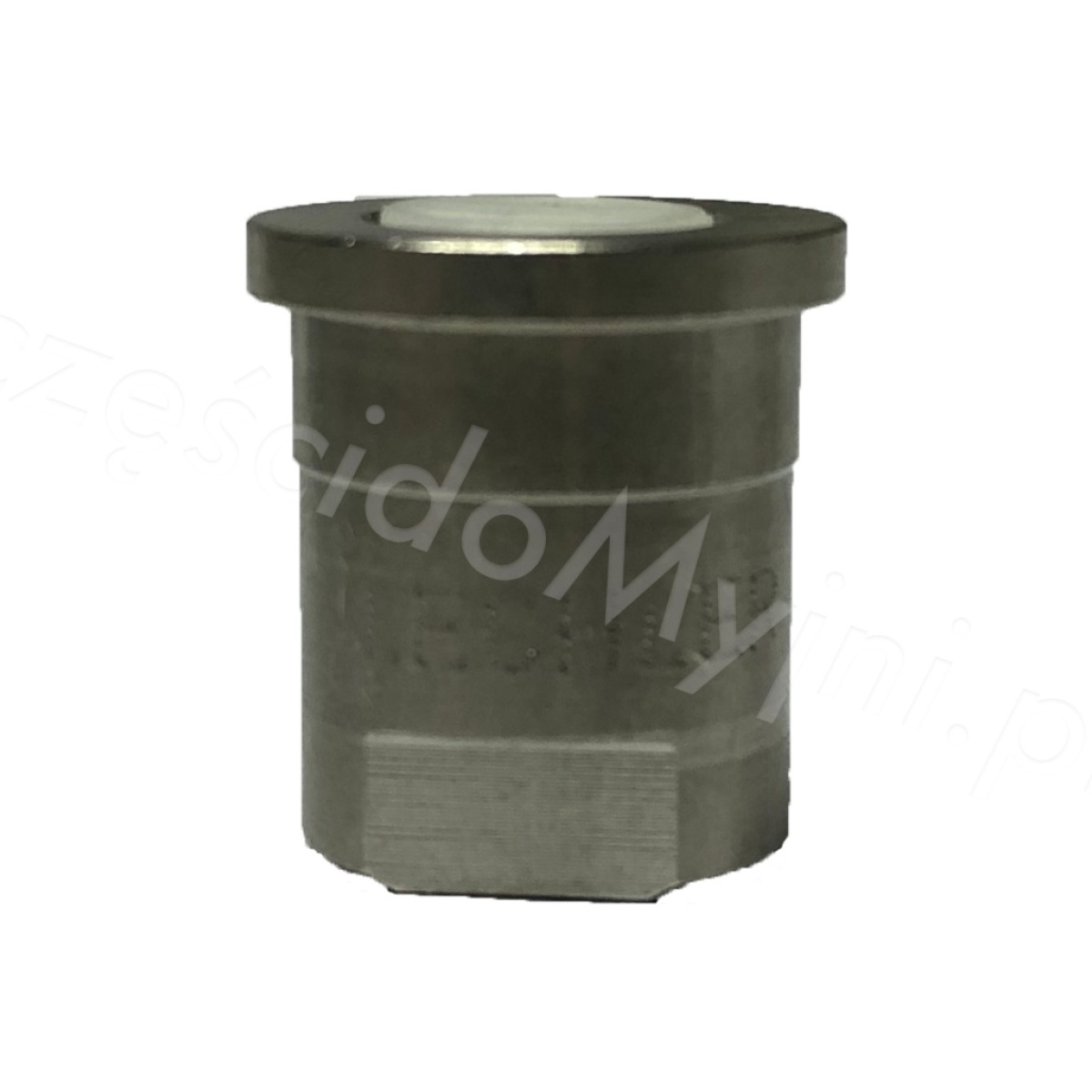 dysza_pianowa_lechler_120_1_3
