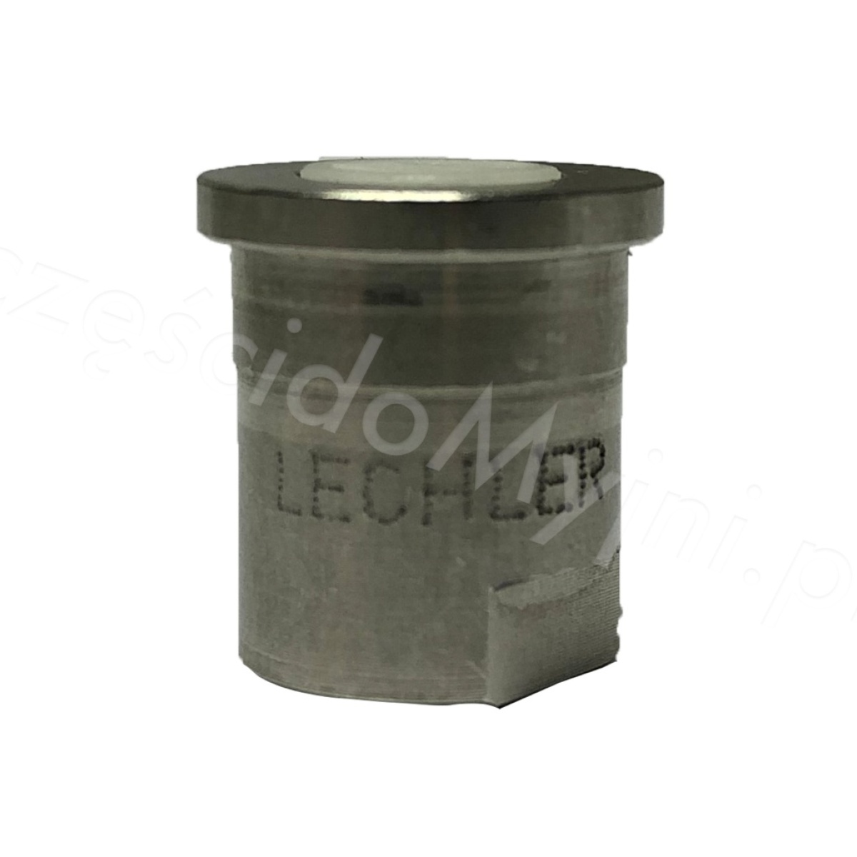 dysza_pianowa_lechler_135_1_3