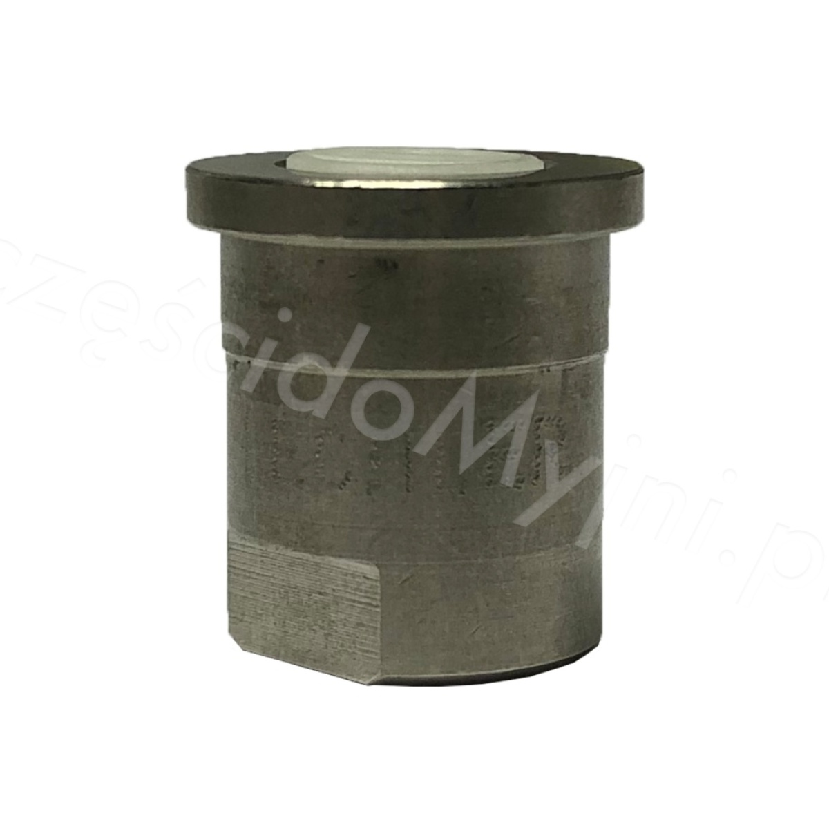 dysza_pianowa_lechler_160_1