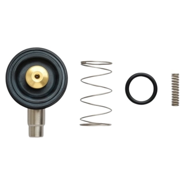 ZESTAW NAPRAWCZY ELEKTROZAWORU BÜRKERT DN13 EPDM (126445)